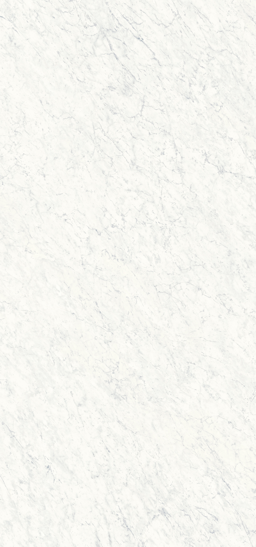 Carrara White - 154x328