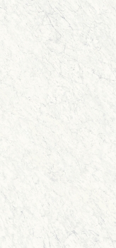 Carrara White - 154x328