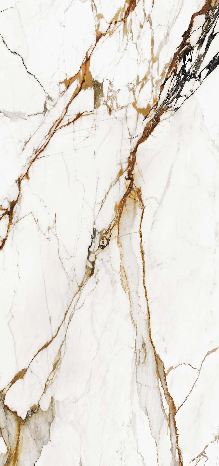 Paonazzo Biondo - 154x328