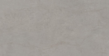 Hudson Grey · 60x120