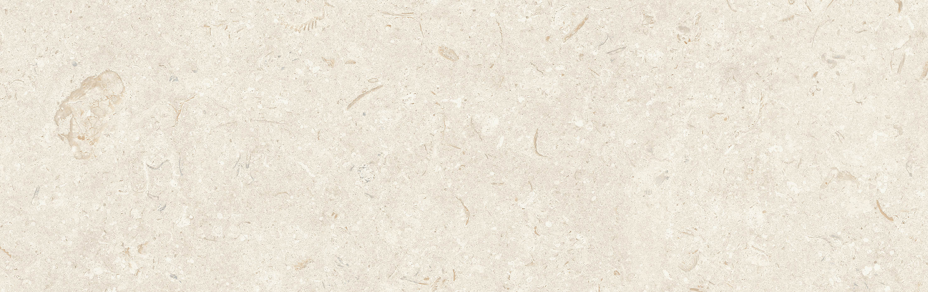 FOSIL BONE 31,5x100