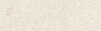 FOSIL BONE 31,5x100