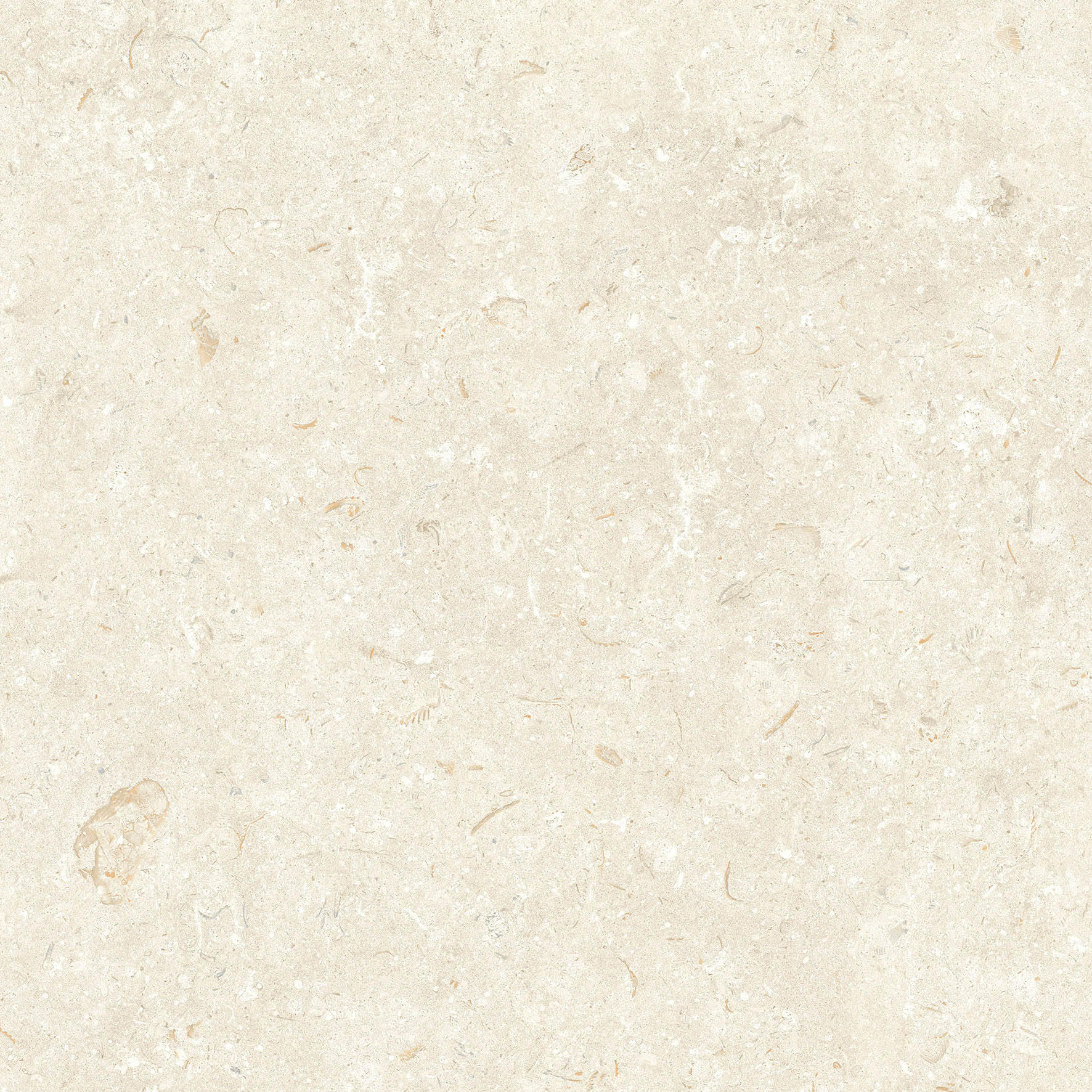 FOSIL BONE 80x80