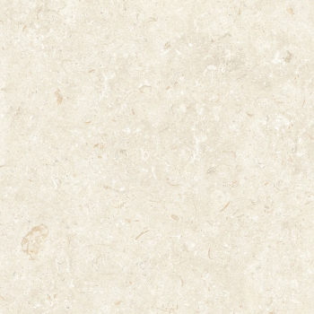FOSIL BONE 80x80