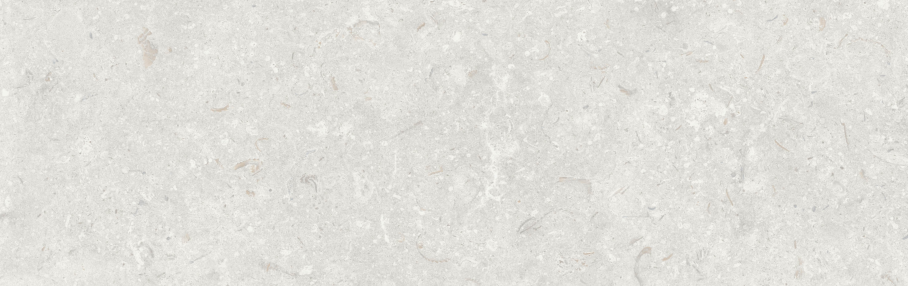 FOSIL PERLA 31,5x100