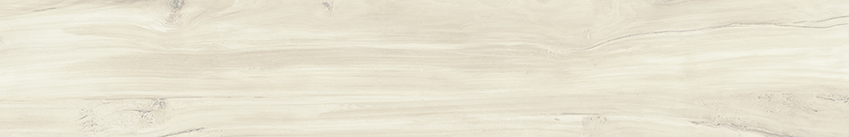 BARRICA 20 BONE · 20x120