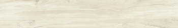BARRICA 20 BONE · 20x120