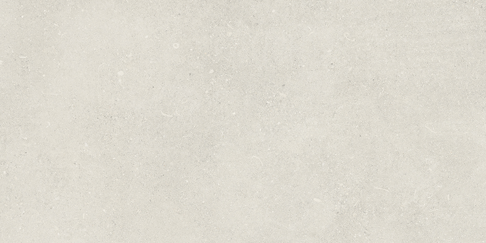 SHELLSTONE 120 WHITE · 60x120