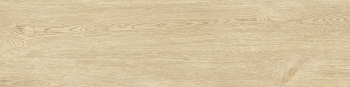 LEGNO DRY 30 FAGGIO · 30x120