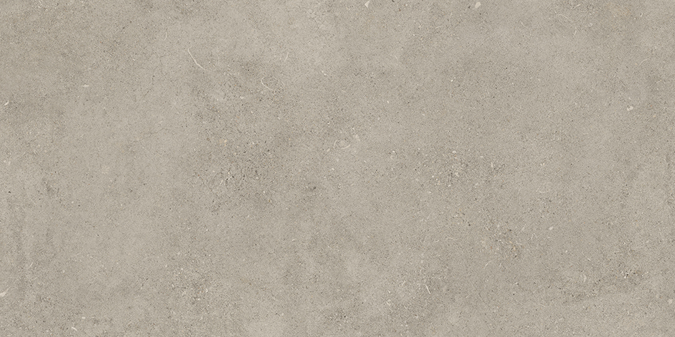 SHELLSTONE 120 GREIGE · 60x120