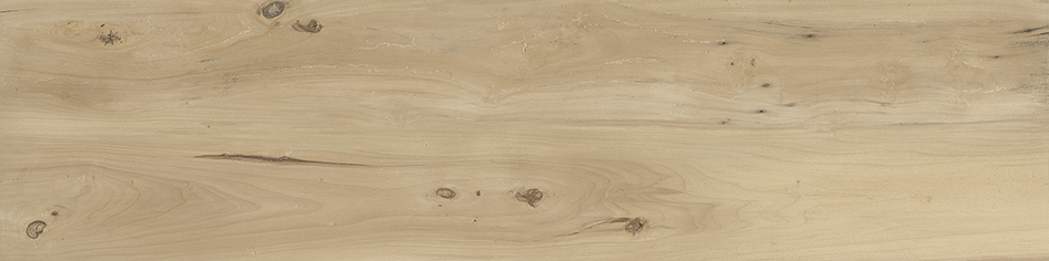 BARRICA 30 MIEL · 30x120