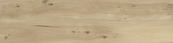 BARRICA 30 MIEL · 30x120