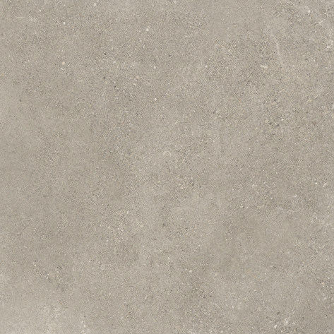 SHELLSTONE 60 GREIGE · 60x60