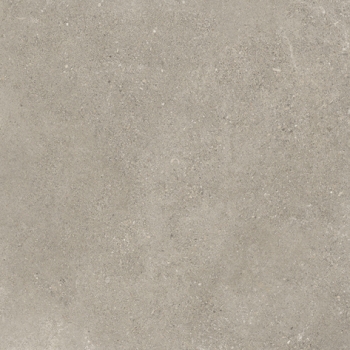 SHELLSTONE 60 GREIGE · 60x60