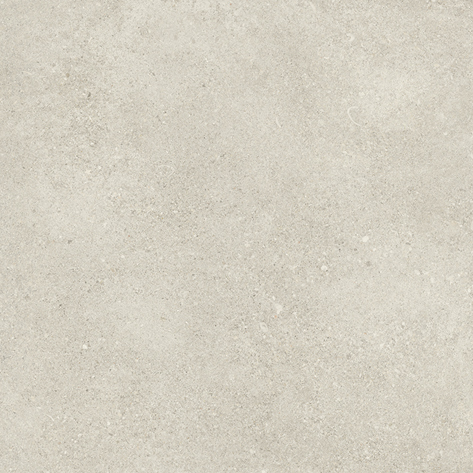 SHELLSTONE 60 GREY · 60x60