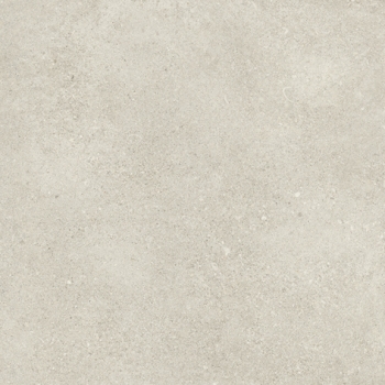SHELLSTONE 60 GREY · 60x60
