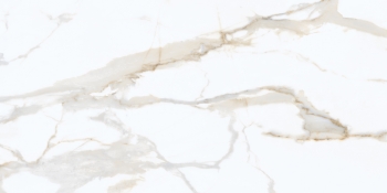 Idyllic Calacatta Gold Starlight 60x120