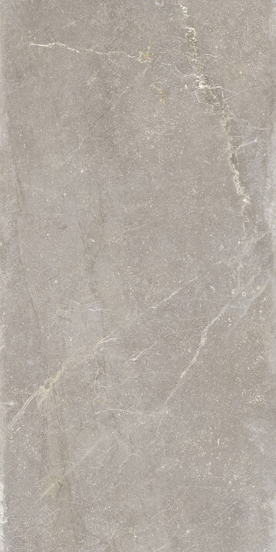 Bleuemix Taupe 60x120