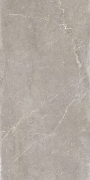 Bleuemix Taupe 60x120