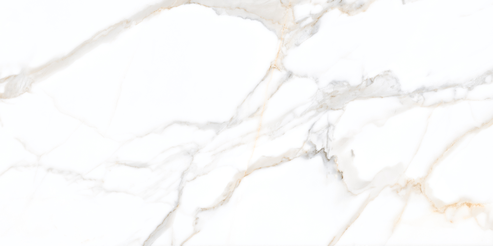 Mystic Borghini Gold 60x120