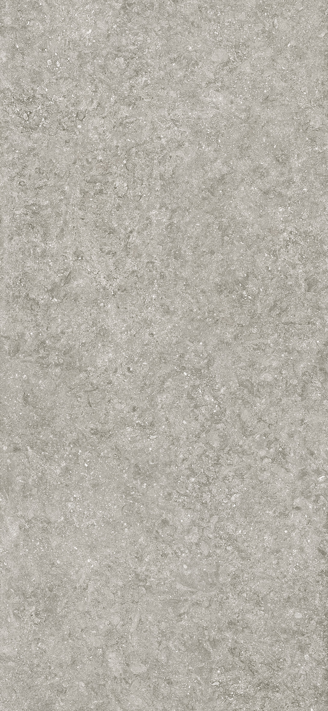 BLUE STONE GRIS 1200x2600 mm