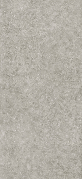 BLUE STONE GRIS 1200x2600 mm