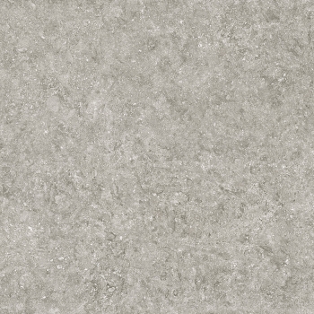 BLUE STONE GRIS 1200x1200 mm