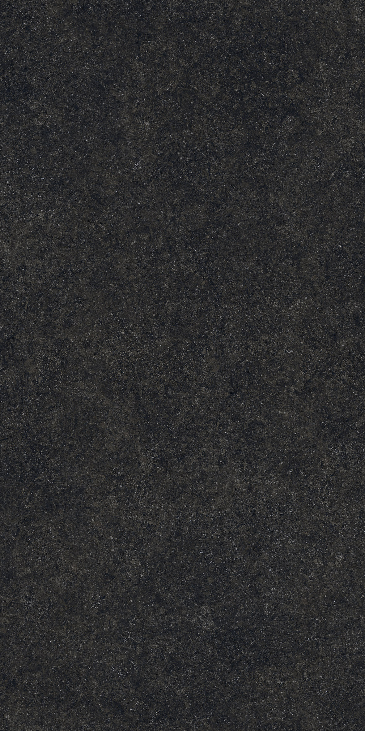 BLUE STONE NEGRO 1600x3200 mm