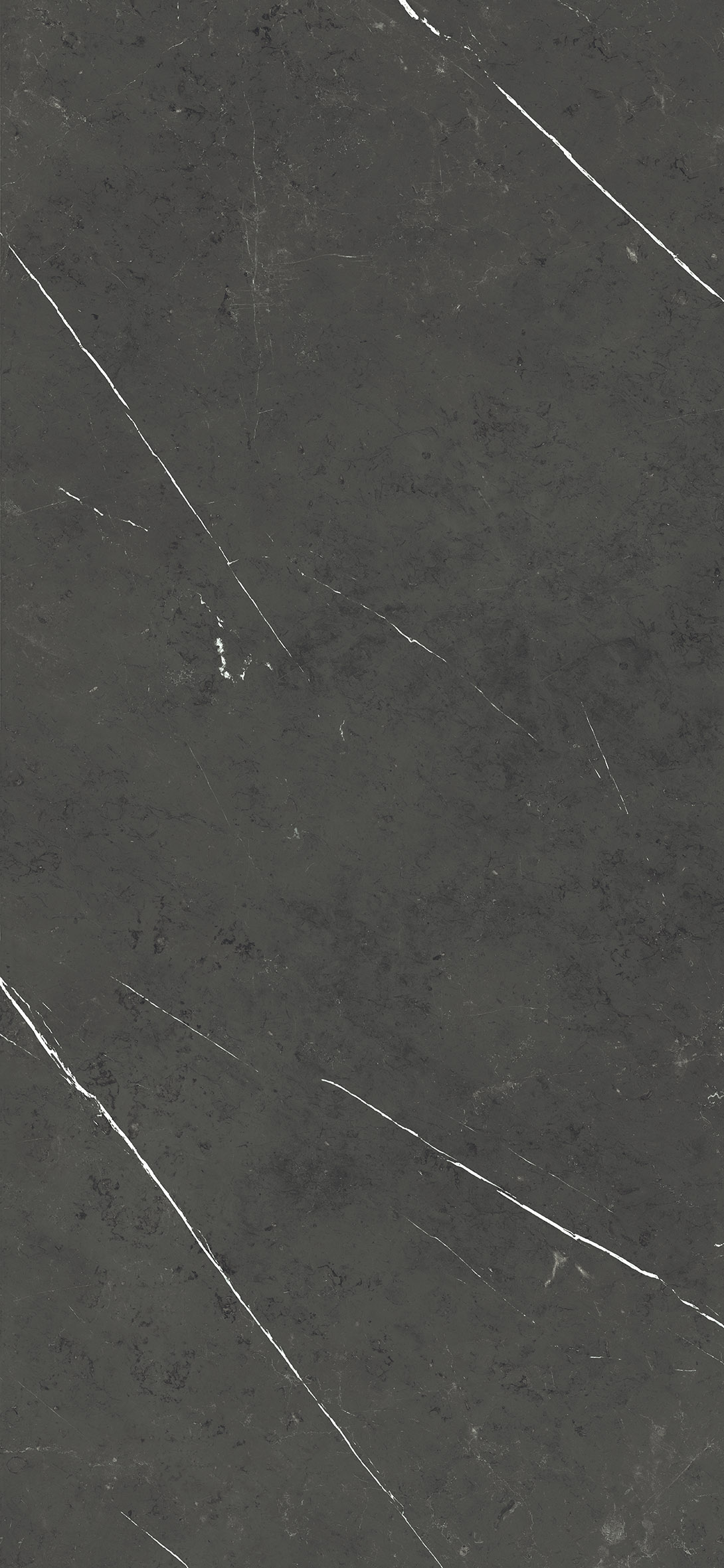 PALADIO PULIDO 1200x2600 mm