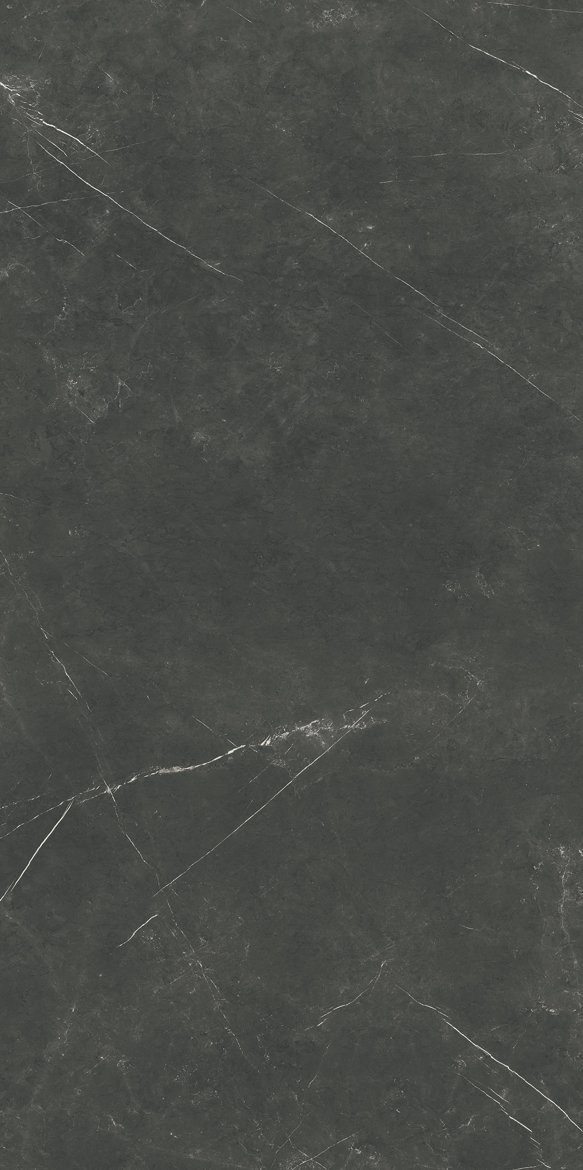 PALADIO PULIDO 1600x3200 mm