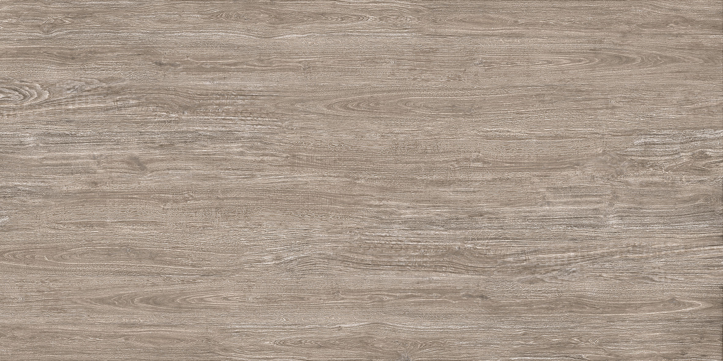 IRATI ENCINA 1600x3200 mm