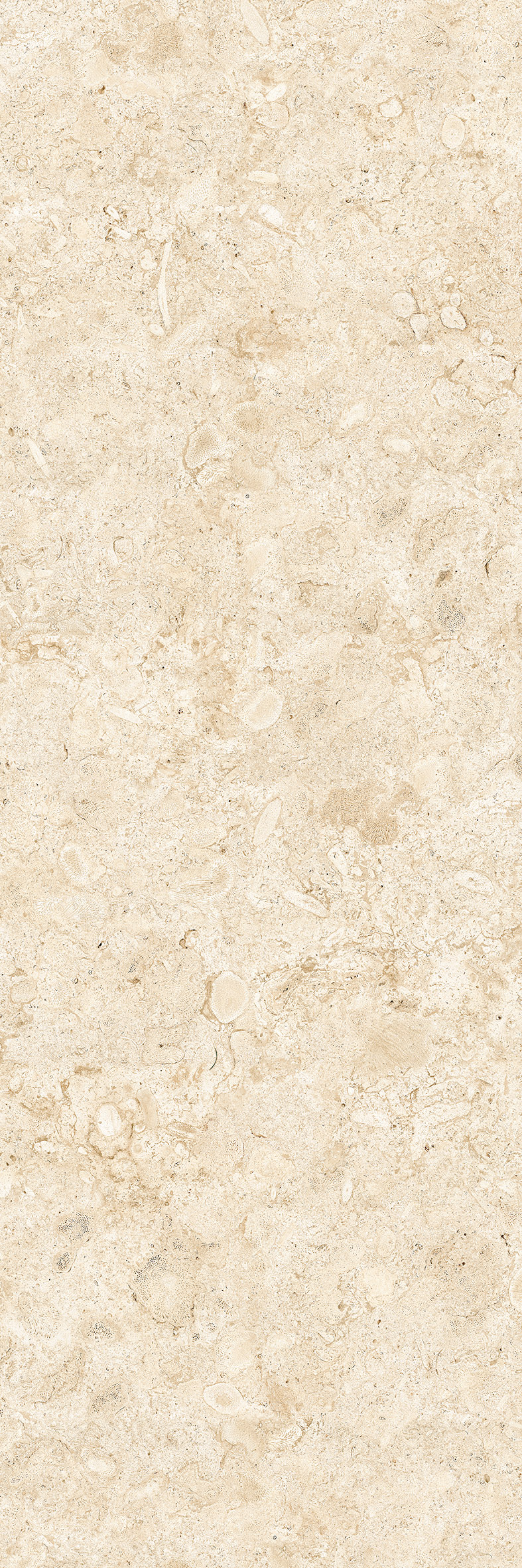CORALINA BLANCO 1200x3600 mm