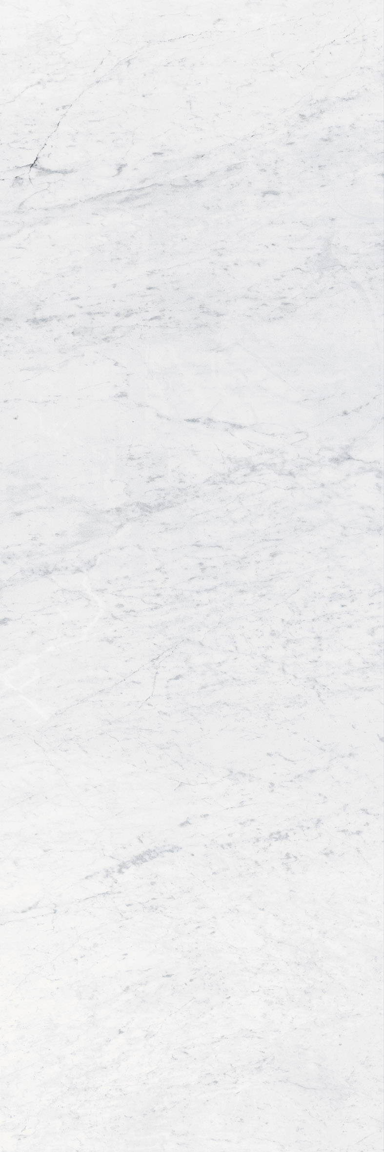 CARRARA 1600x3200 mm