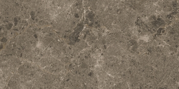 ARTIC MOKA PULIDO 60X120
