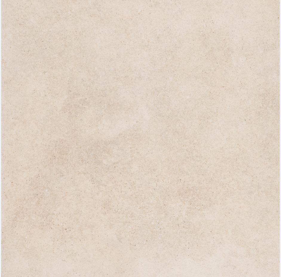 ANIMA ARENA 90X90