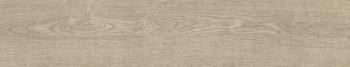AUTHENTIC NATURAL 23x120