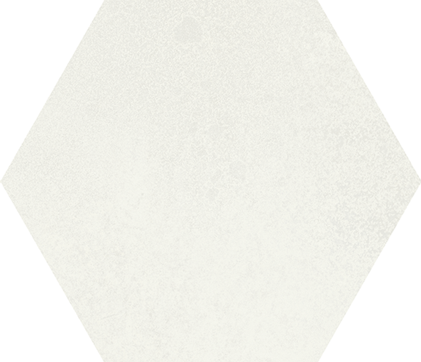 MAGNET EXA FROZEN 15X17