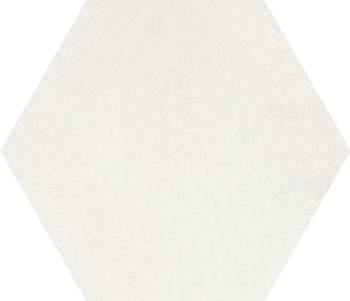 MAGNET EXA FROZEN 15X17