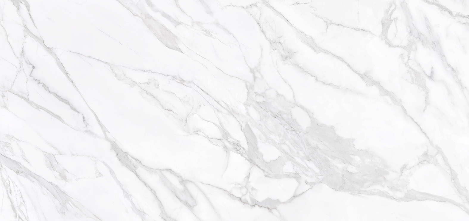 CALACATTA POLISHED 60x120