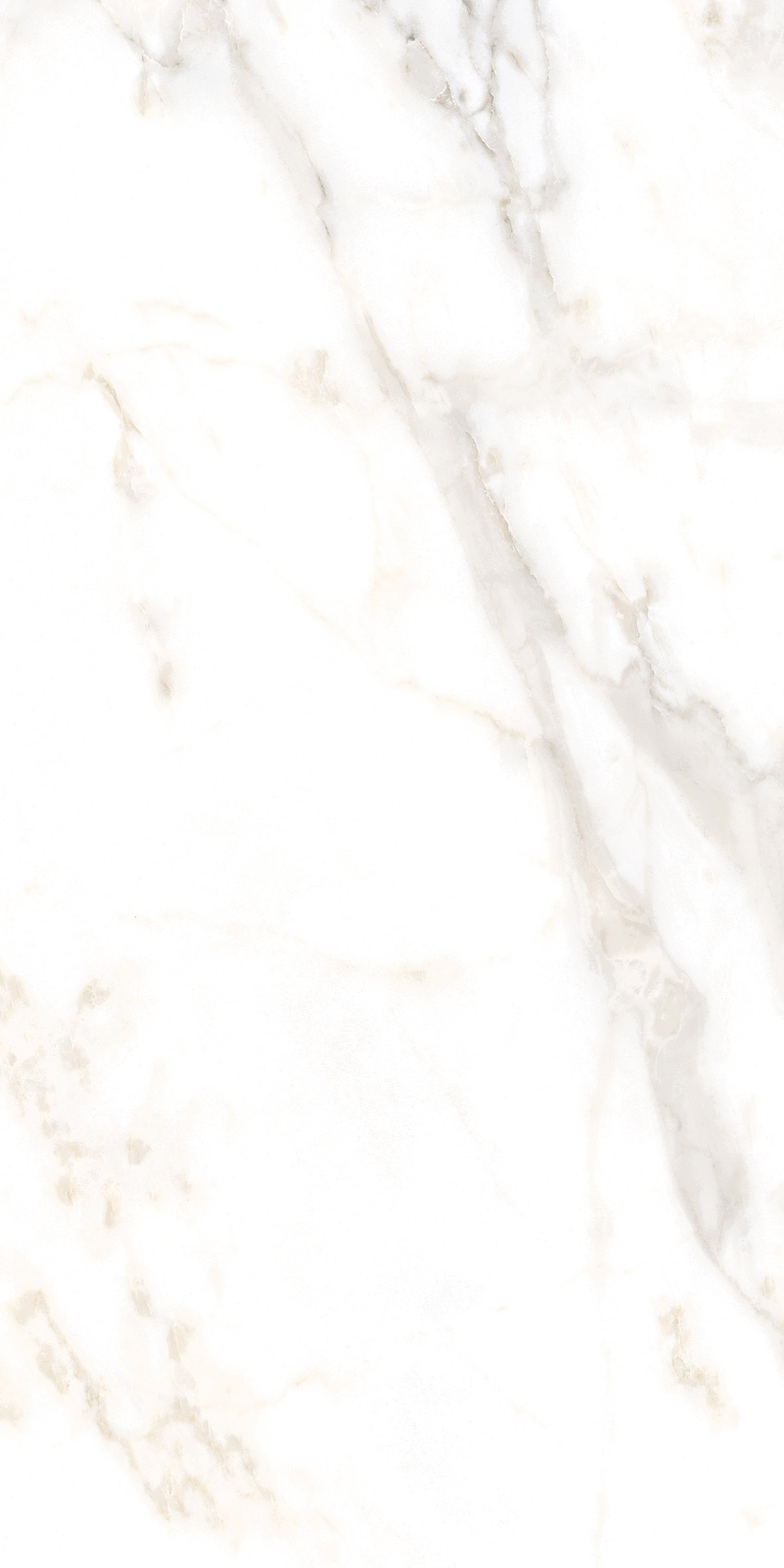 CALACATTA GOLD POLISHED 60x120