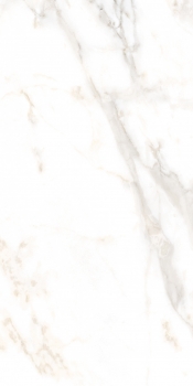 CALACATTA GOLD POLISHED 60x120
