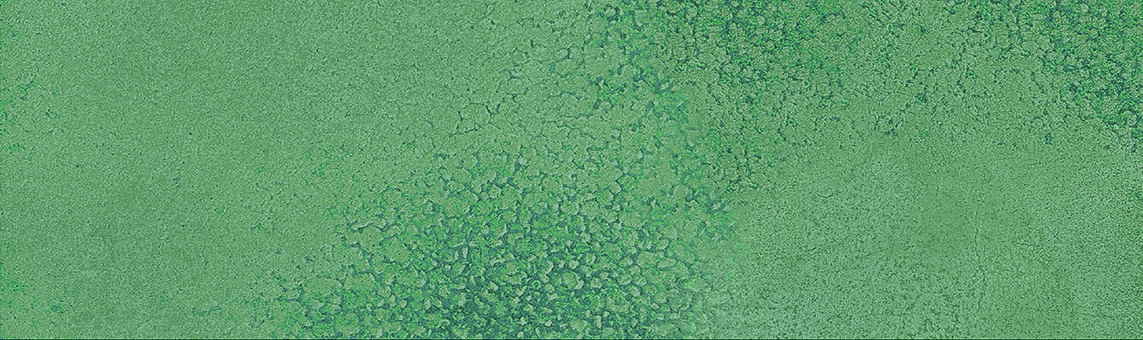 GREENLAND BOREAL MATT 6.4X22.3