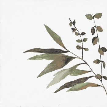 Olivia Decor verde 15x15