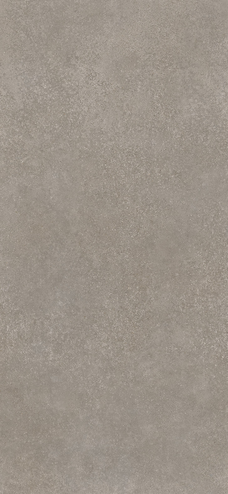 CODE TAUPE 120x260