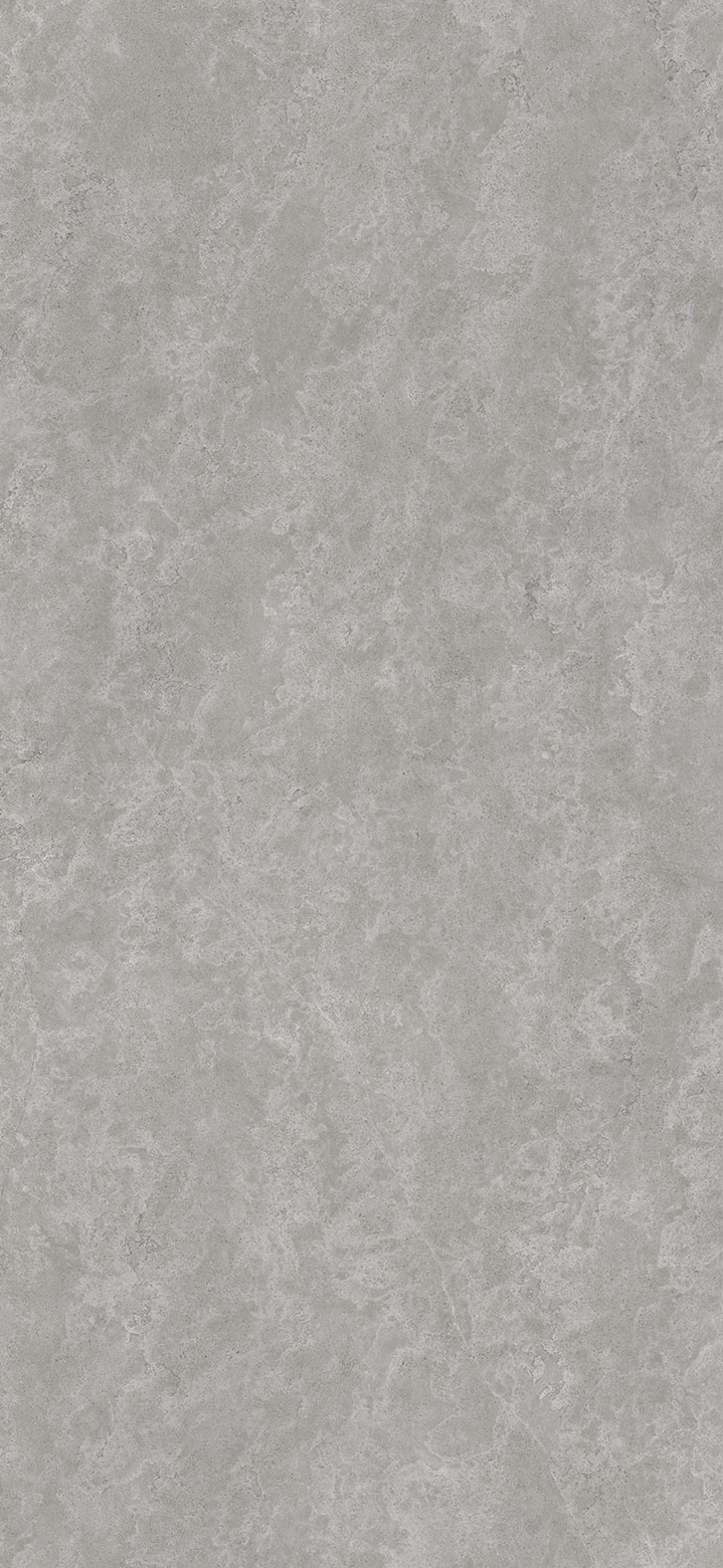 PORTLAND GREY 120x260