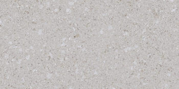 NATUR GREY 60X120