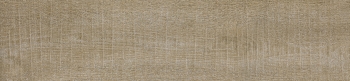 Ardenes Tortora 100x24,8